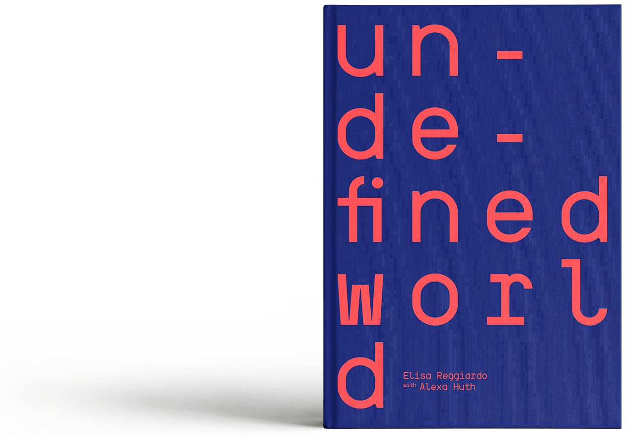 Undefined World Book